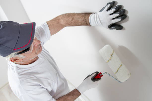 Best Industrial Mold Remediation  in Painted Post, NY