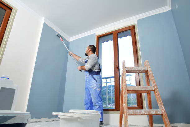 Best Emergency Mold Remediation  in Painted Post, NY