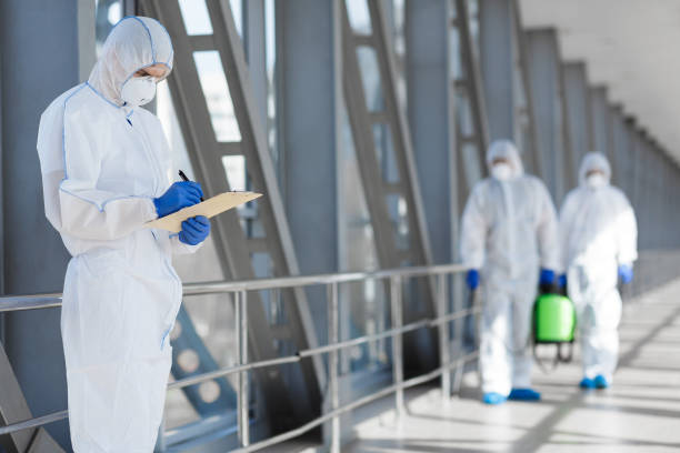 Best Environmental Consulting for Mold Prevention  in Painted Post, NY