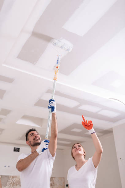 Best Mold Remediation for Healthcare Facilities  in Painted Post, NY