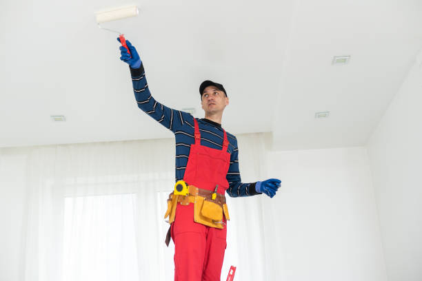 Best Mold Documentation for Insurance Claims  in Painted Post, NY