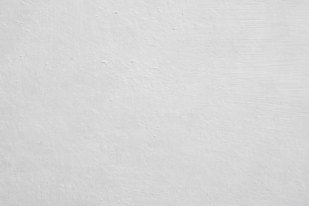 Best Forensic Mold Investigation  in Painted Post, NY